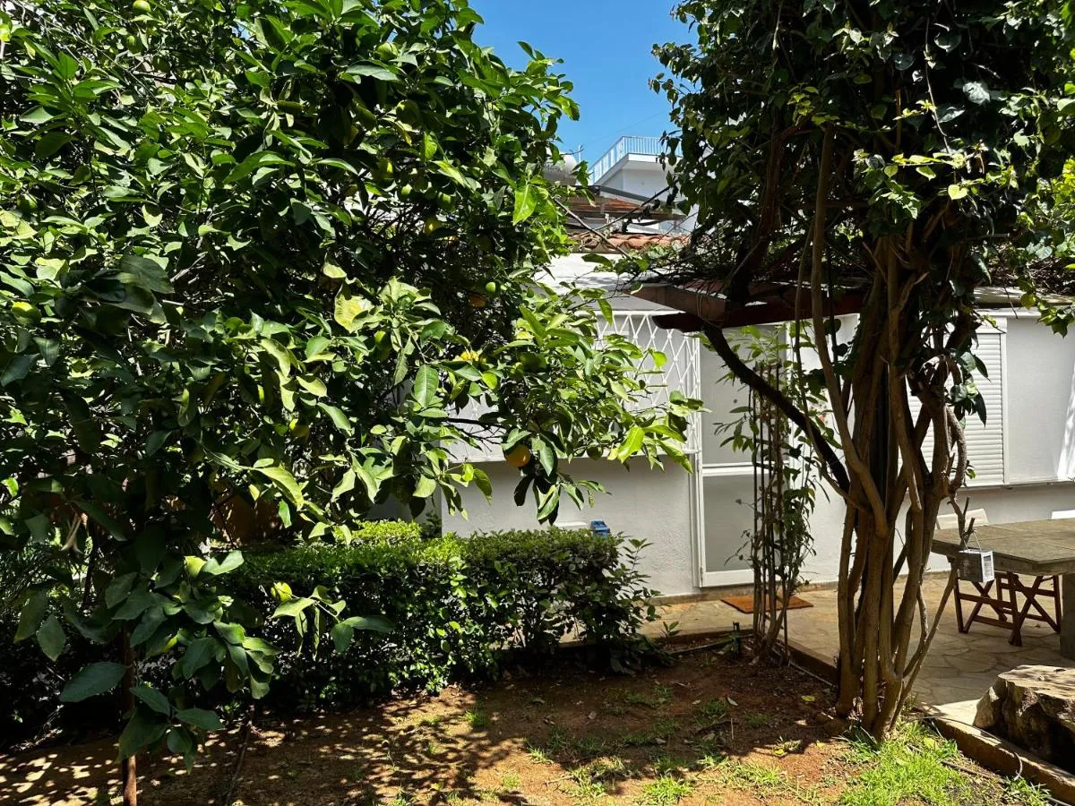 Image 5 of Antonis’s Garden House