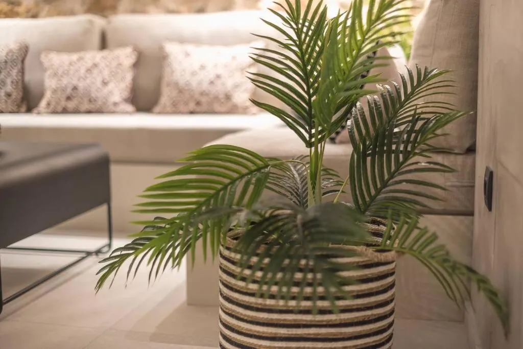 Image 4 of Apollonos 28 Luxury Suites