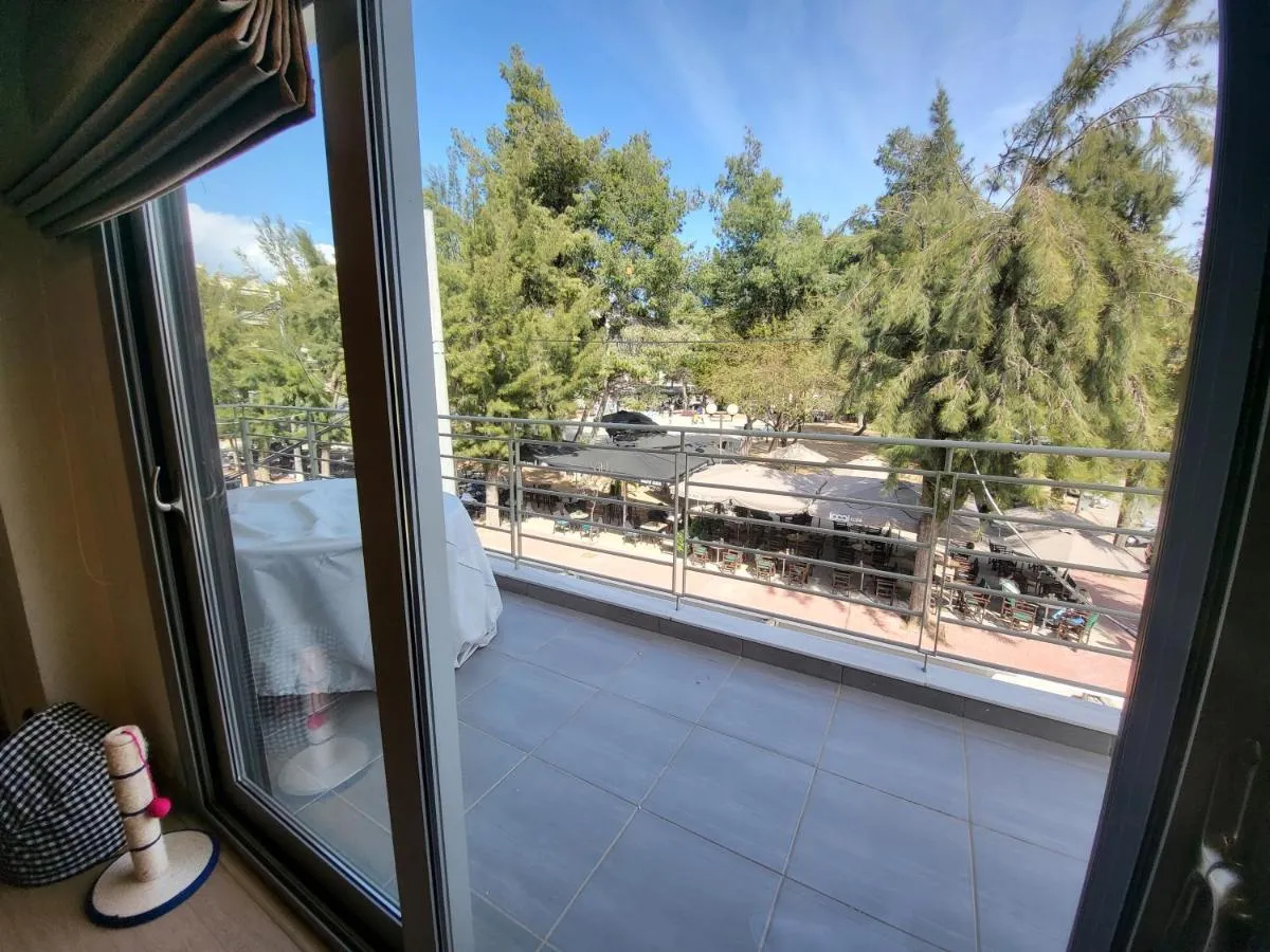 Image 4 of Cozy apartment in front of the park