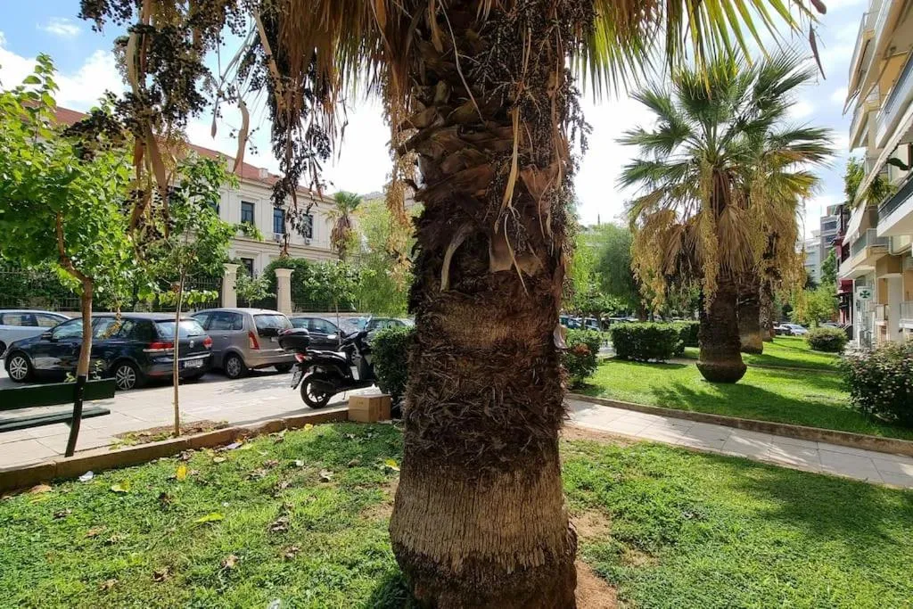 Image 5 of Katerina’s house – Hilton area