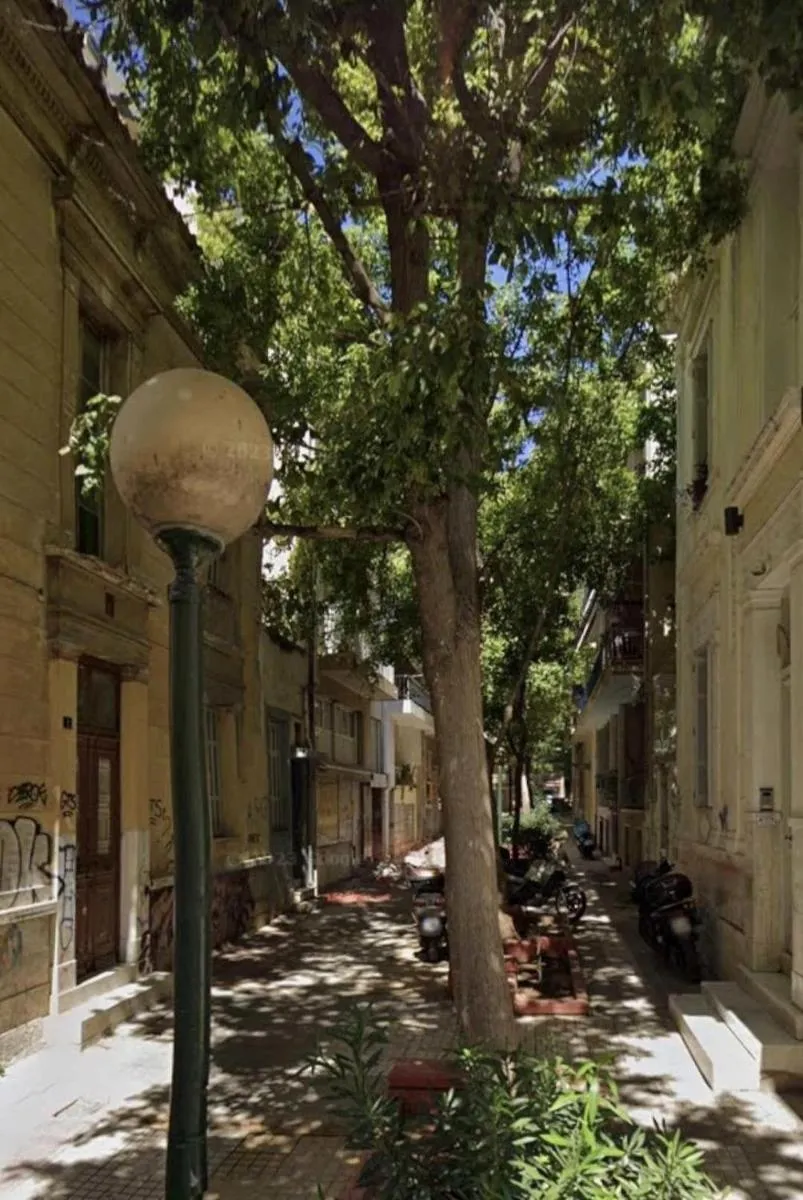 Image 6 of P.S. Zolioti