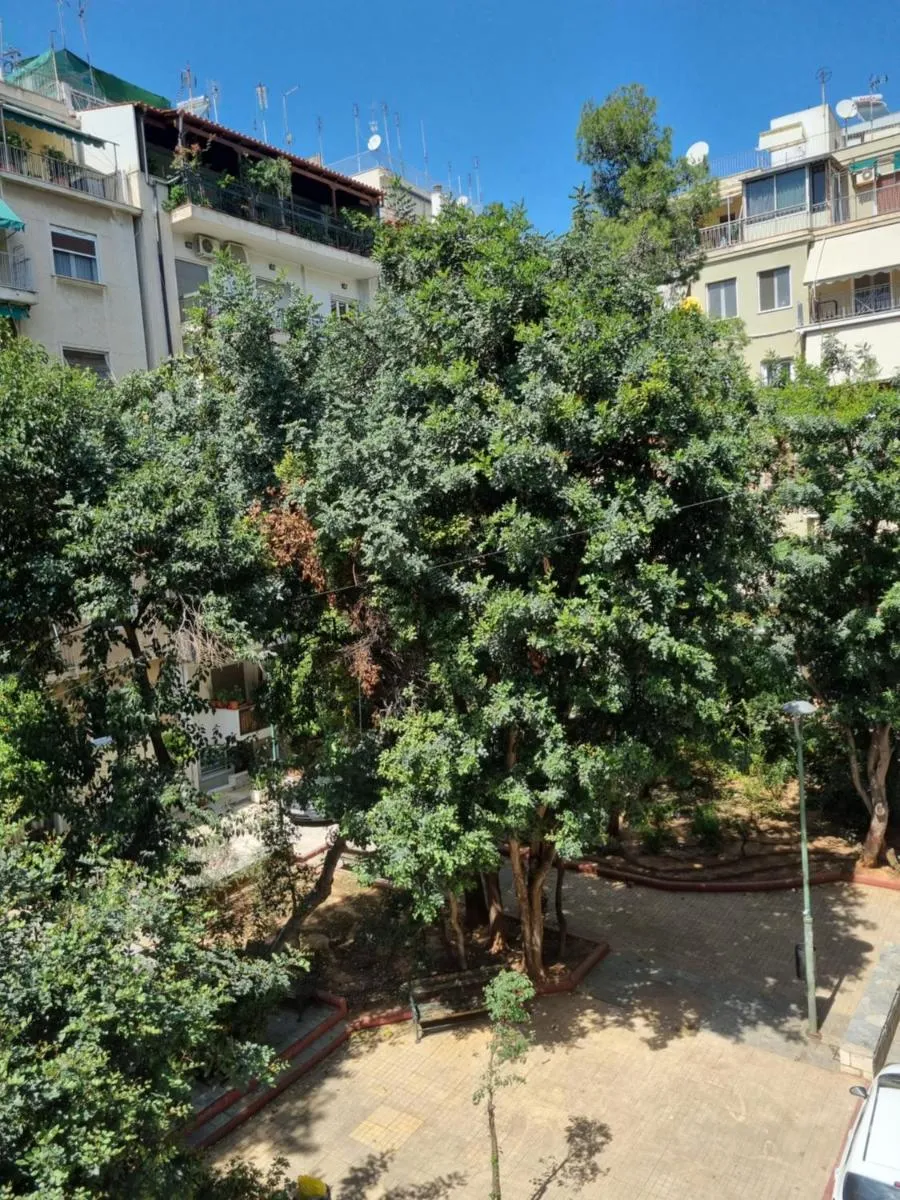 Image 5 of Park view apartment near Panormou