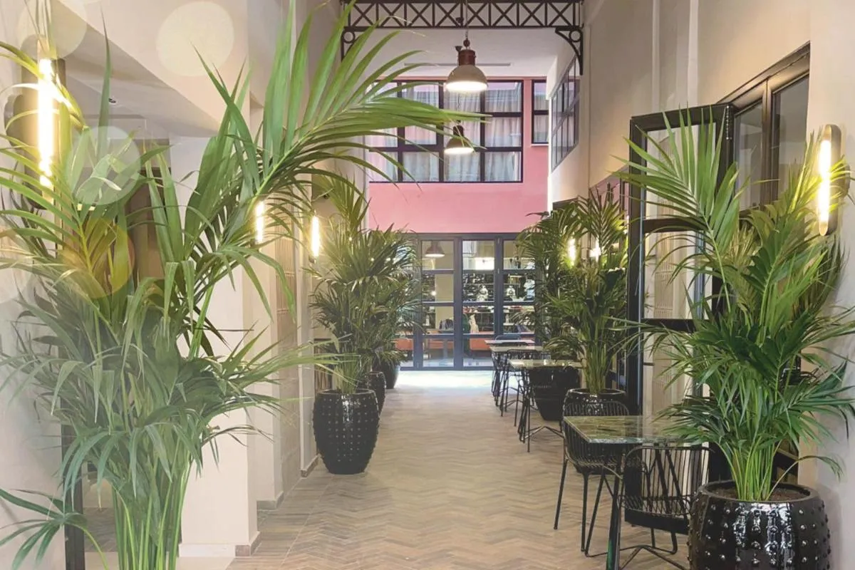 Image 2 of Anise, Aluma Hotels & Resorts