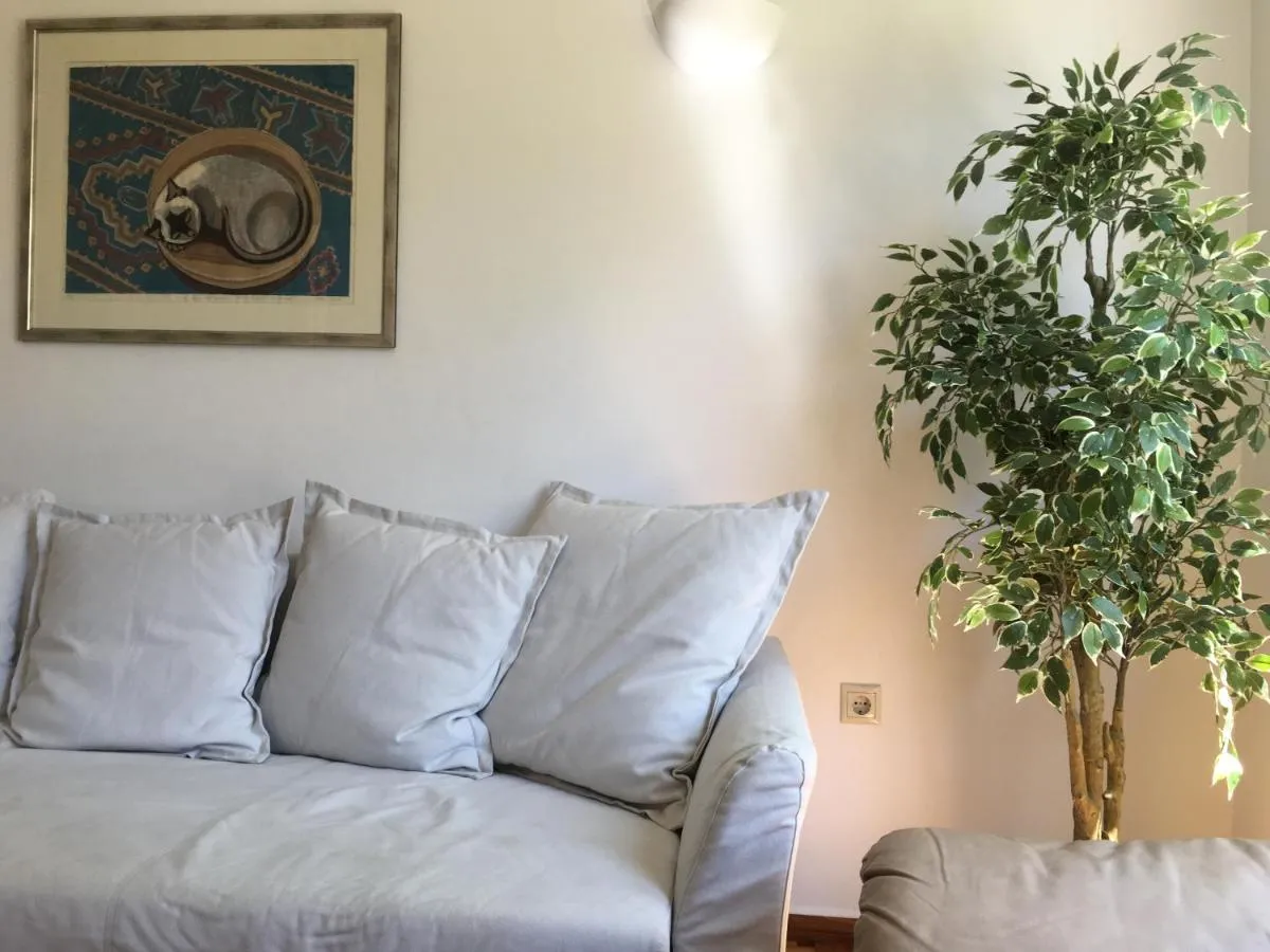 Image 5 of Central 5 Room Apartment