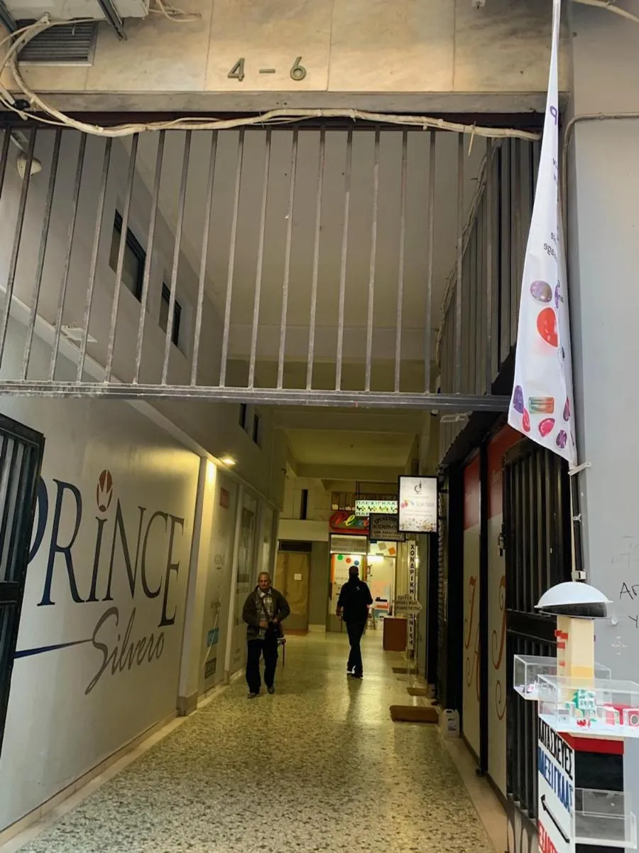 Image 3 of Emilie in Athens – Central chic flat with terrace Syntagma E1