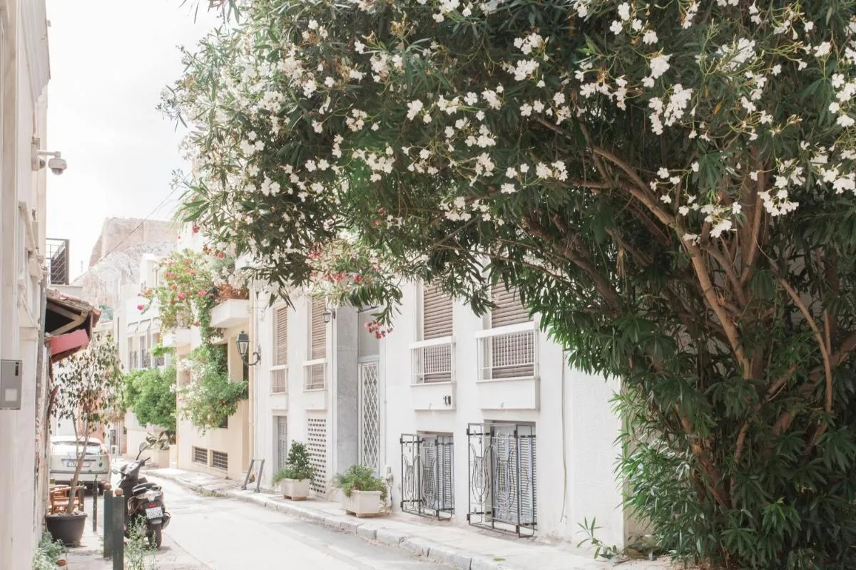 Image 2 of La casa di Plaka
