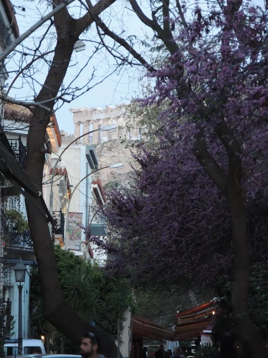 Image 3 of Soho Athene Apartment