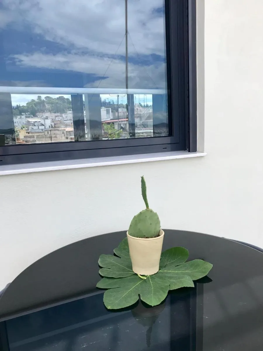 Image 6 of Stylish penthouse with Acropolis and 360 view