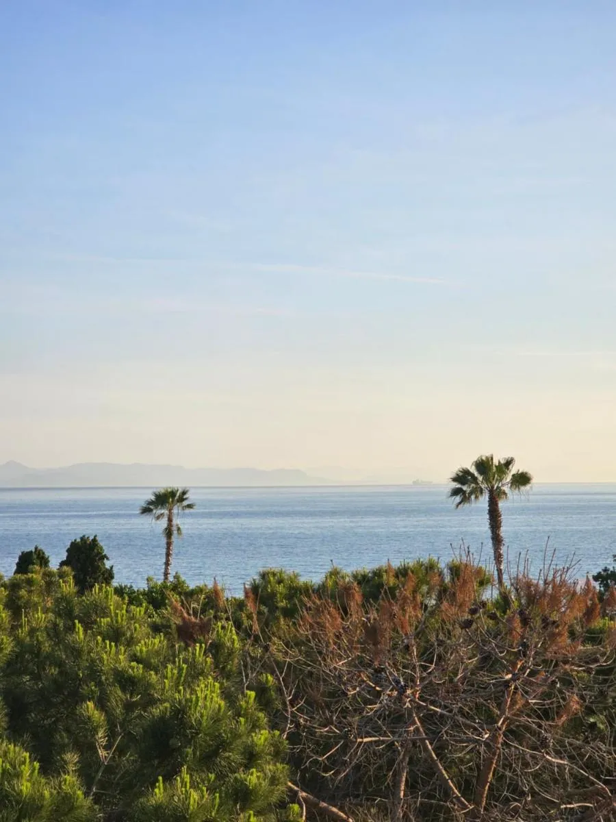 Image 5 of Bijou Kalamakiou (Athens Riviera)