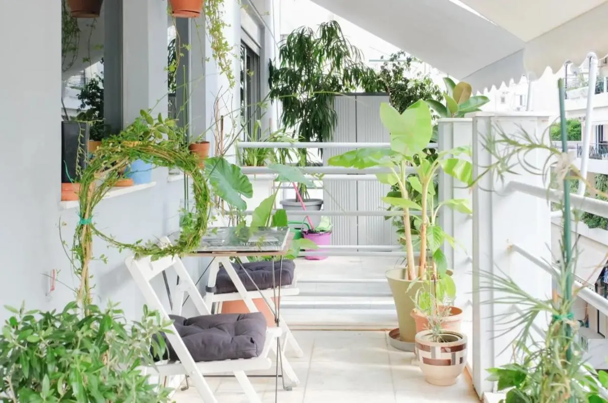 Image 5 of Bright Eco Studios