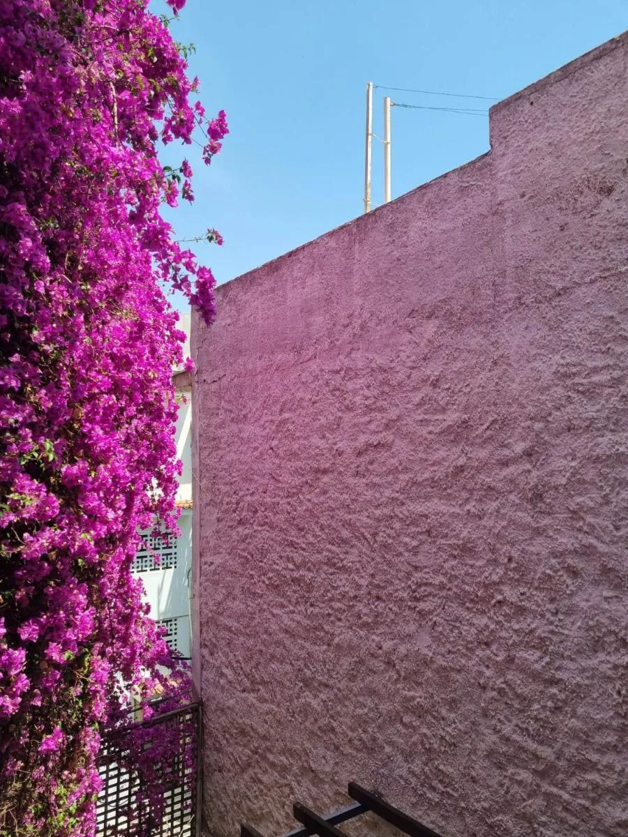 Image 4 of Canto-Home Alongside The Acropolis