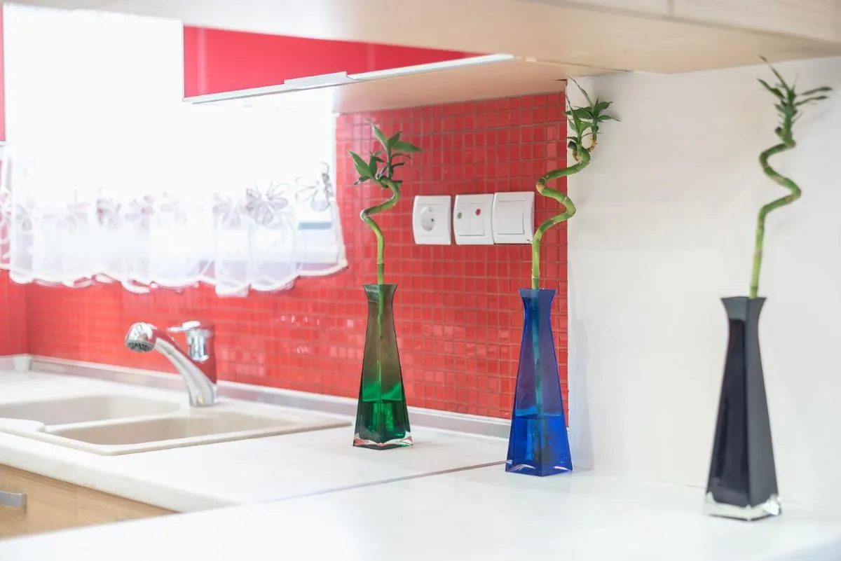 Image 2 of Myilios Luxury Petralona Athens Center