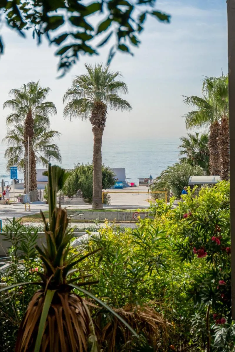 Image 3 of Sunlit Urban Oasis in Vibrant Palaio Faliro