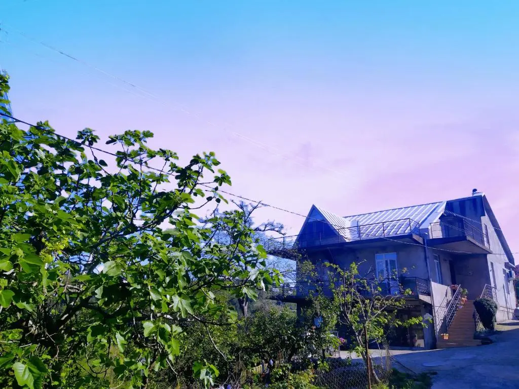 Image of 53 jincharadze street Makhinjauri, Batumi