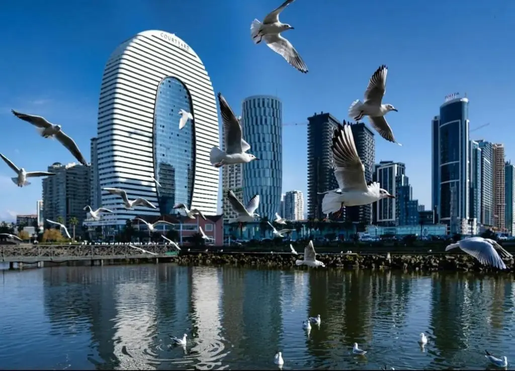 Image of Alliance Palace Sea view Apartment