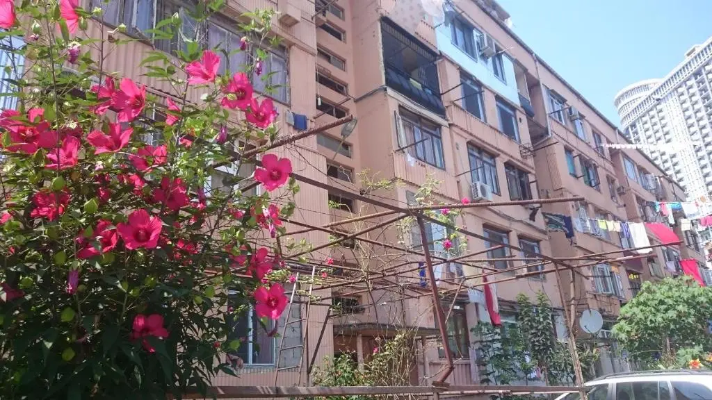 Image of Comfortable apartment in Batumi