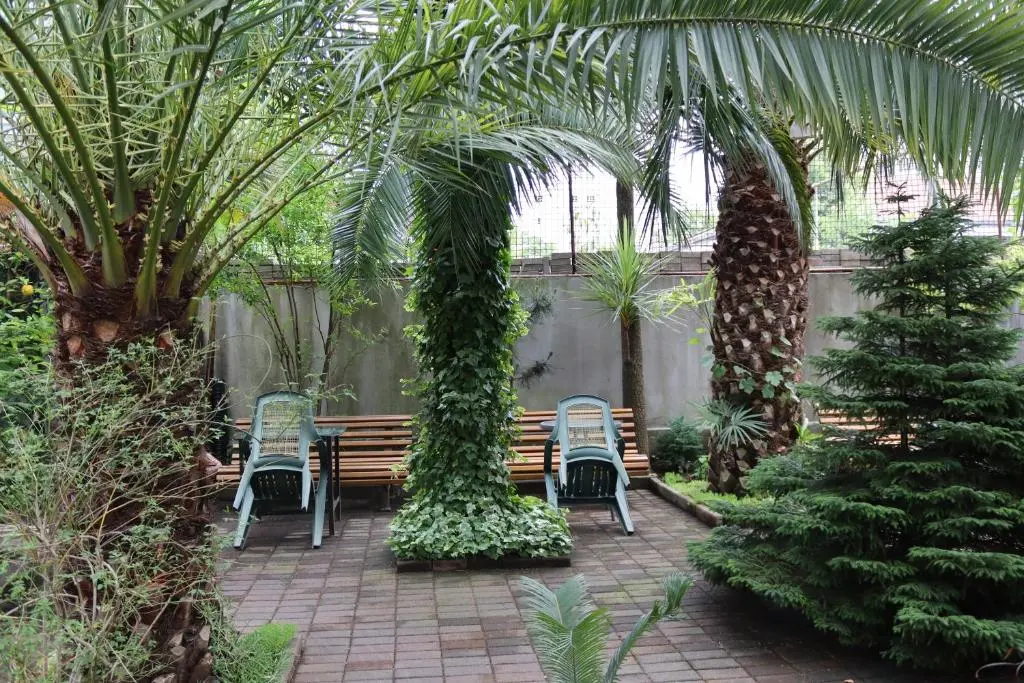 Image of Guesthouse in Batumi 97
