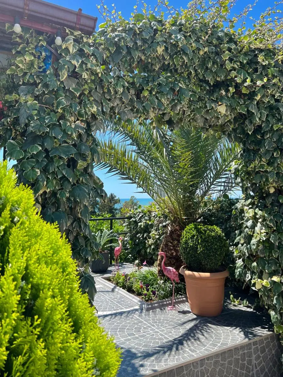 Image 3 of Kemeni Garden