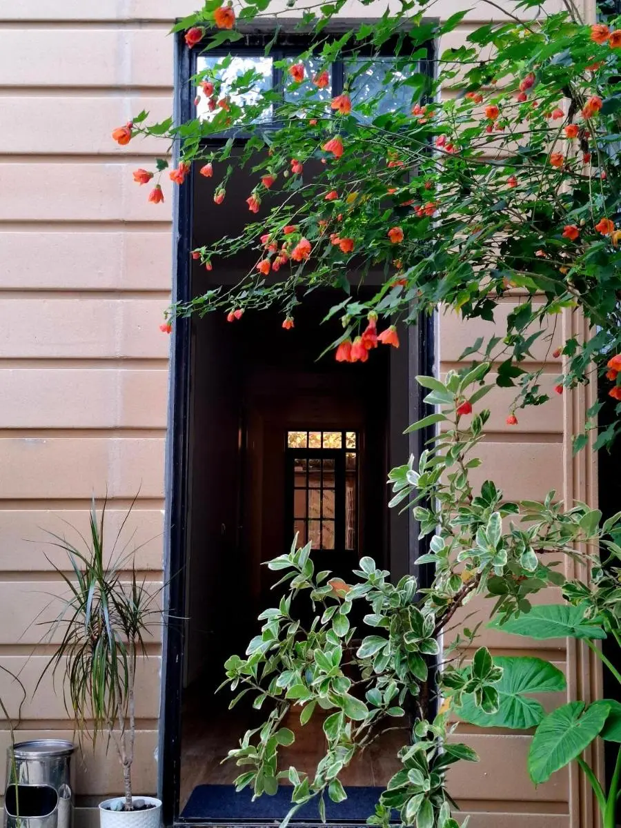 Image 4 of Middle city Guesthouse