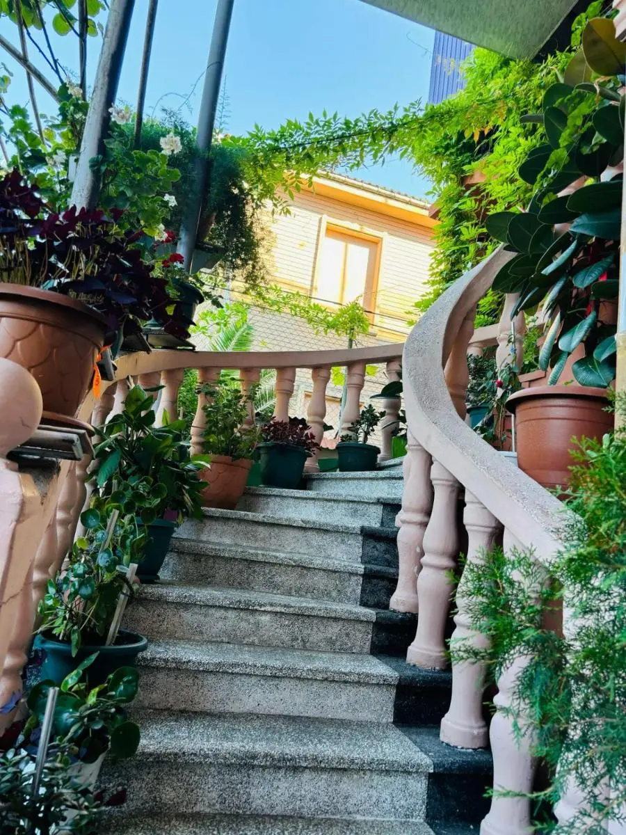 Image 5 of Nikas Guest House