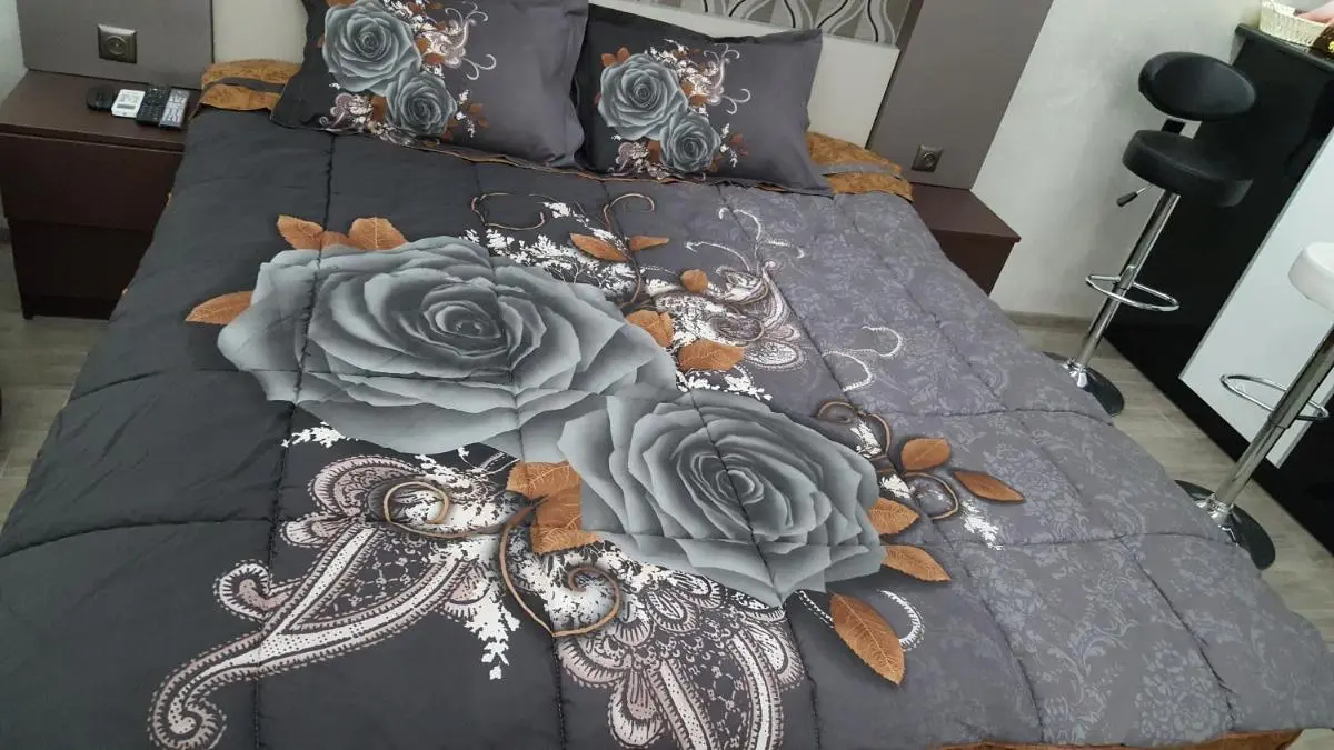 Image 1 of Roini Apartment