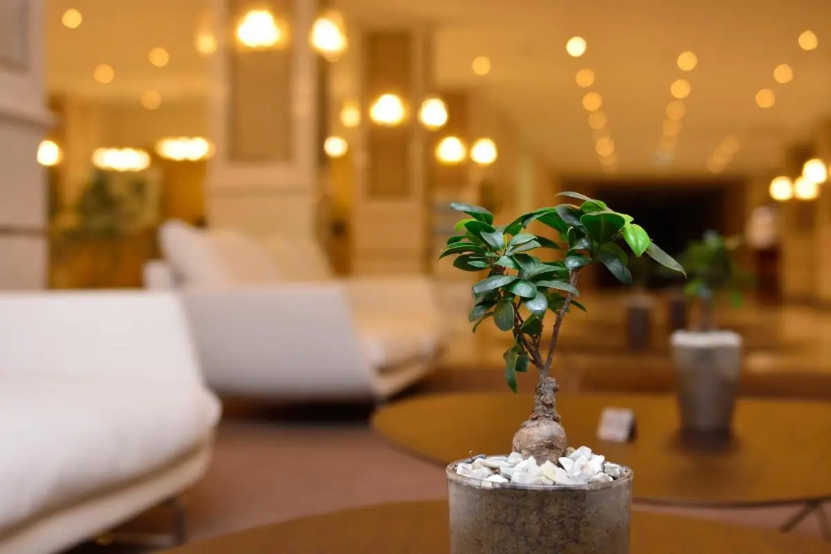 Image 4 of The Grand Gloria Hotel