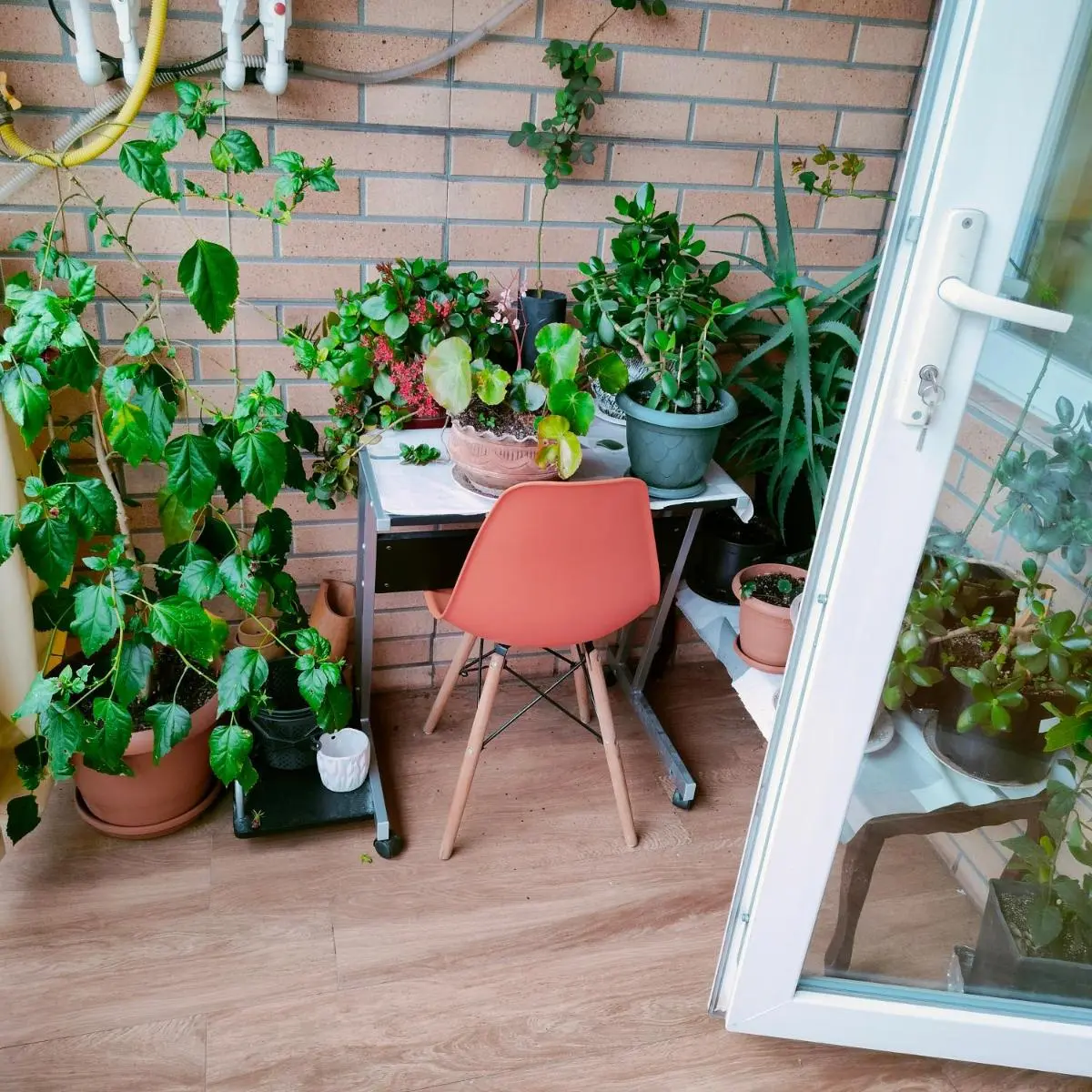 Image 6 of Zhome