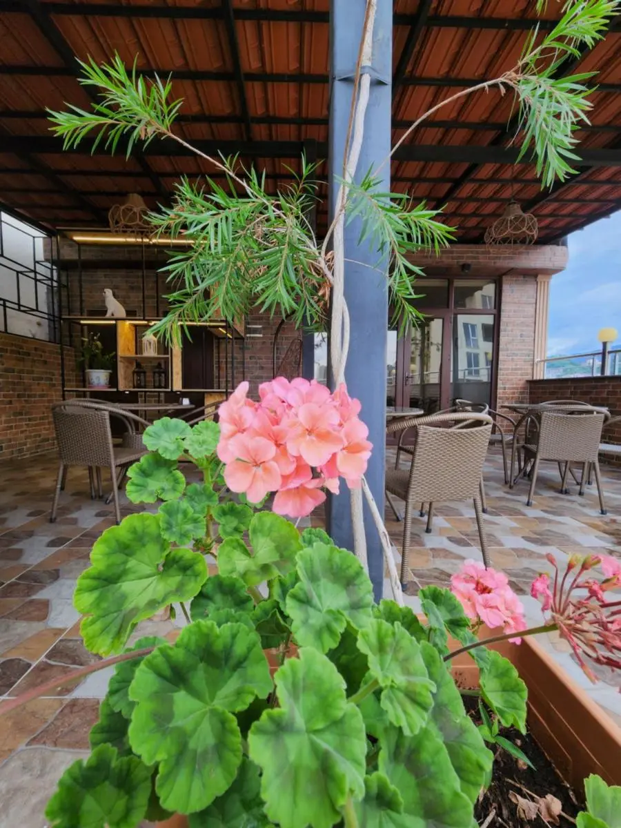 Image 1 of hotel Vaxx