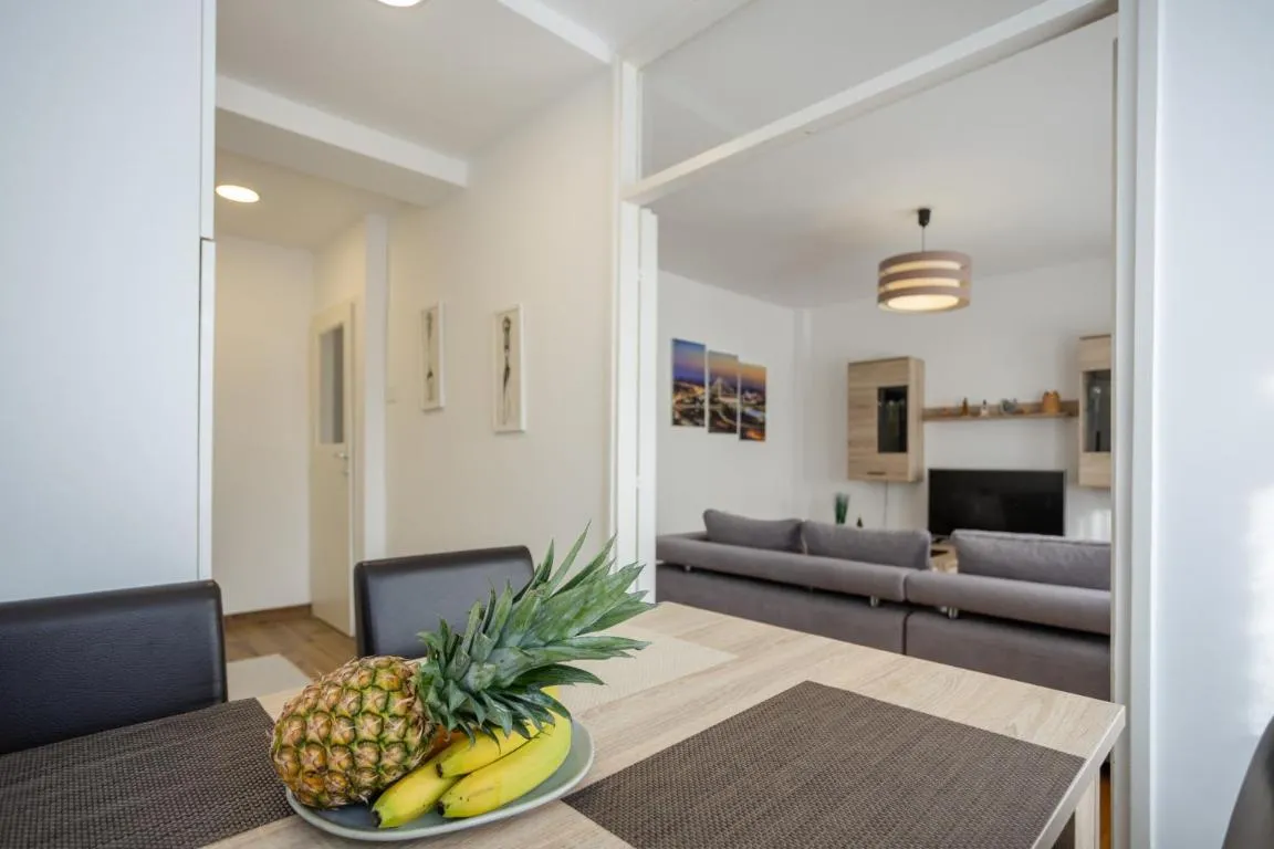 Apartment Sara