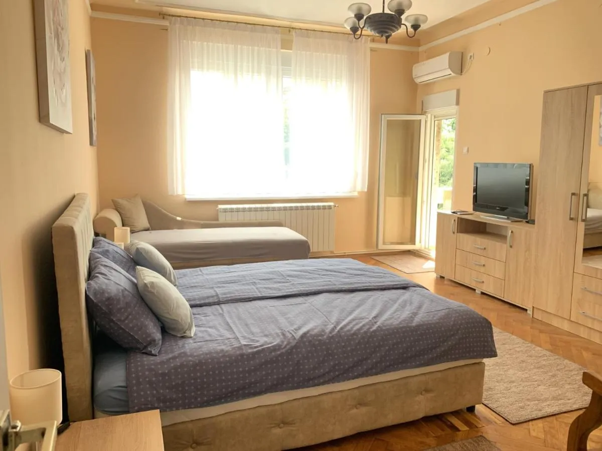 Apartment Tašmajdan — 5