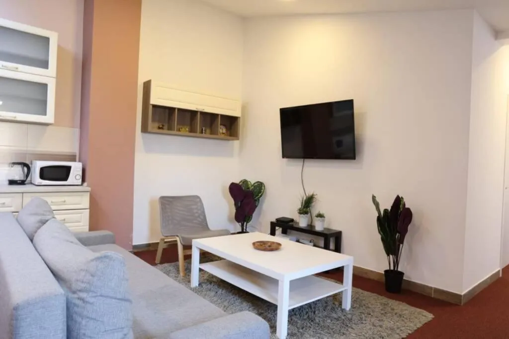 Belgrade Center Apartment Nusiceva — 5