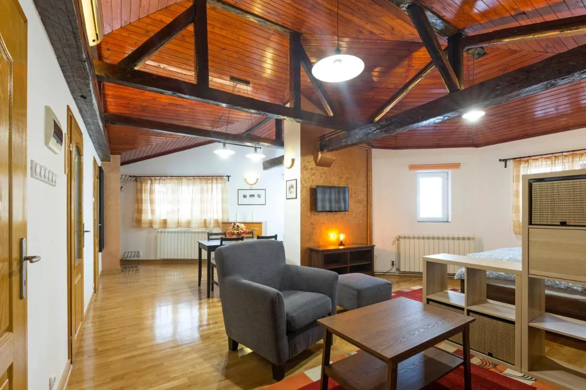 Belgrade Center Apartment V — 4