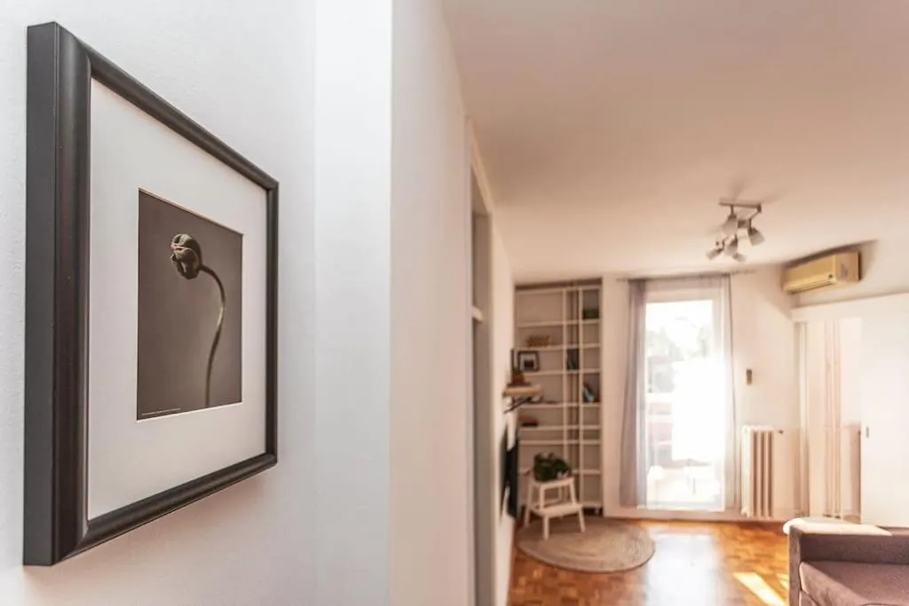Belgrade Hill Apartment — 3