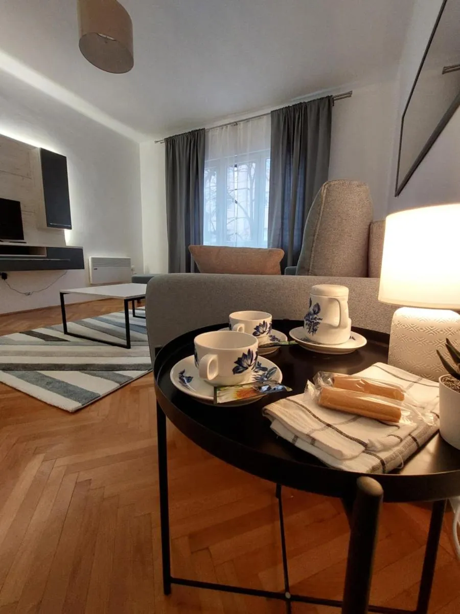 Dalmatinska apartment — 4