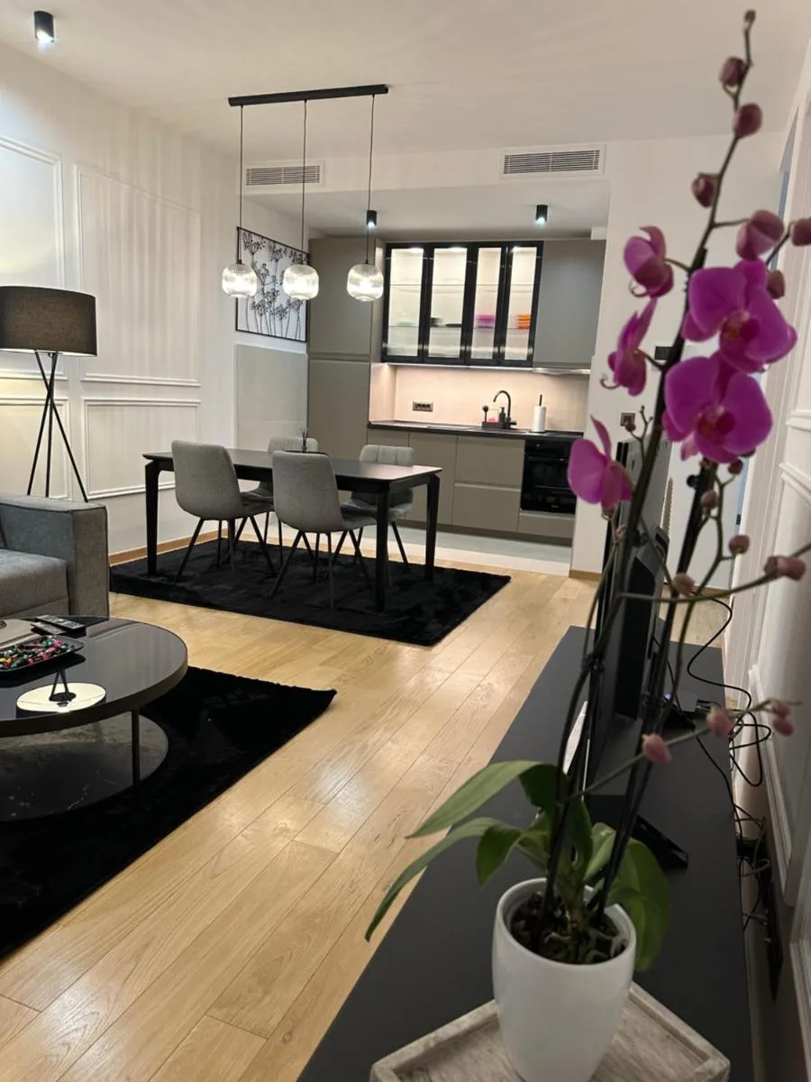 LL65 Apartments Novi Dorcol — 4