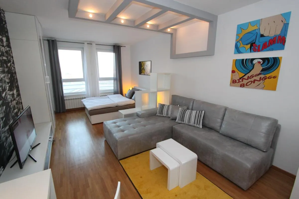 New Belgrade apartment Neven, parking 5 evra dan — 5