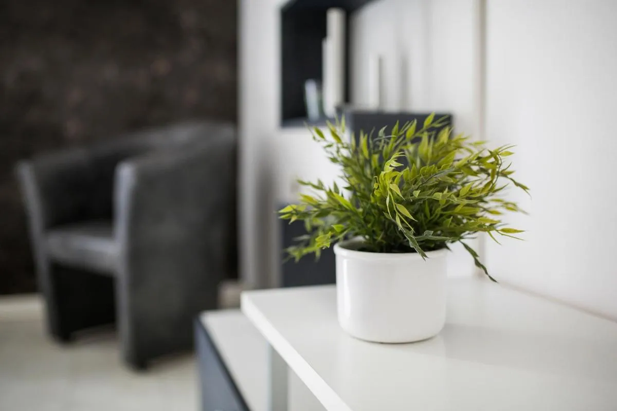 Princ Apartment — 4