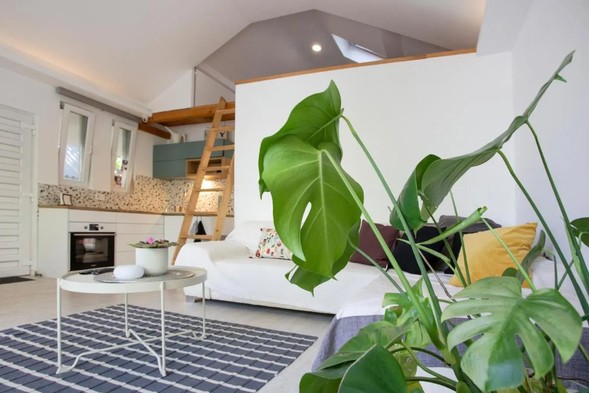 River house Grana — 3