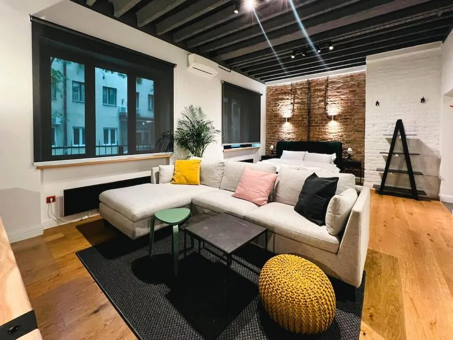 Stylish apartment in Dorcol