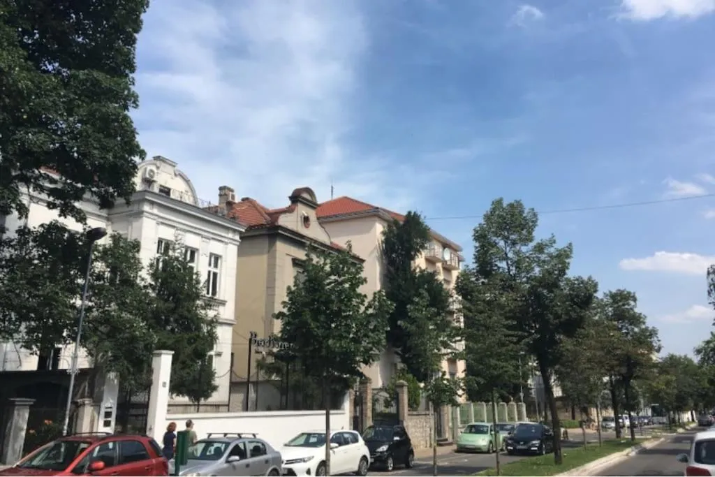 Vračar Central Apartment — 5