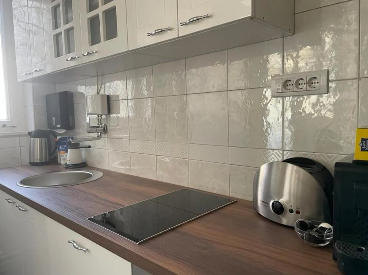 Apartment Obilicev Venac — 4