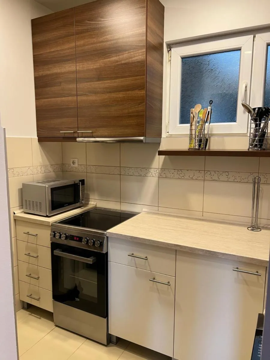Apartment Vračar — 4