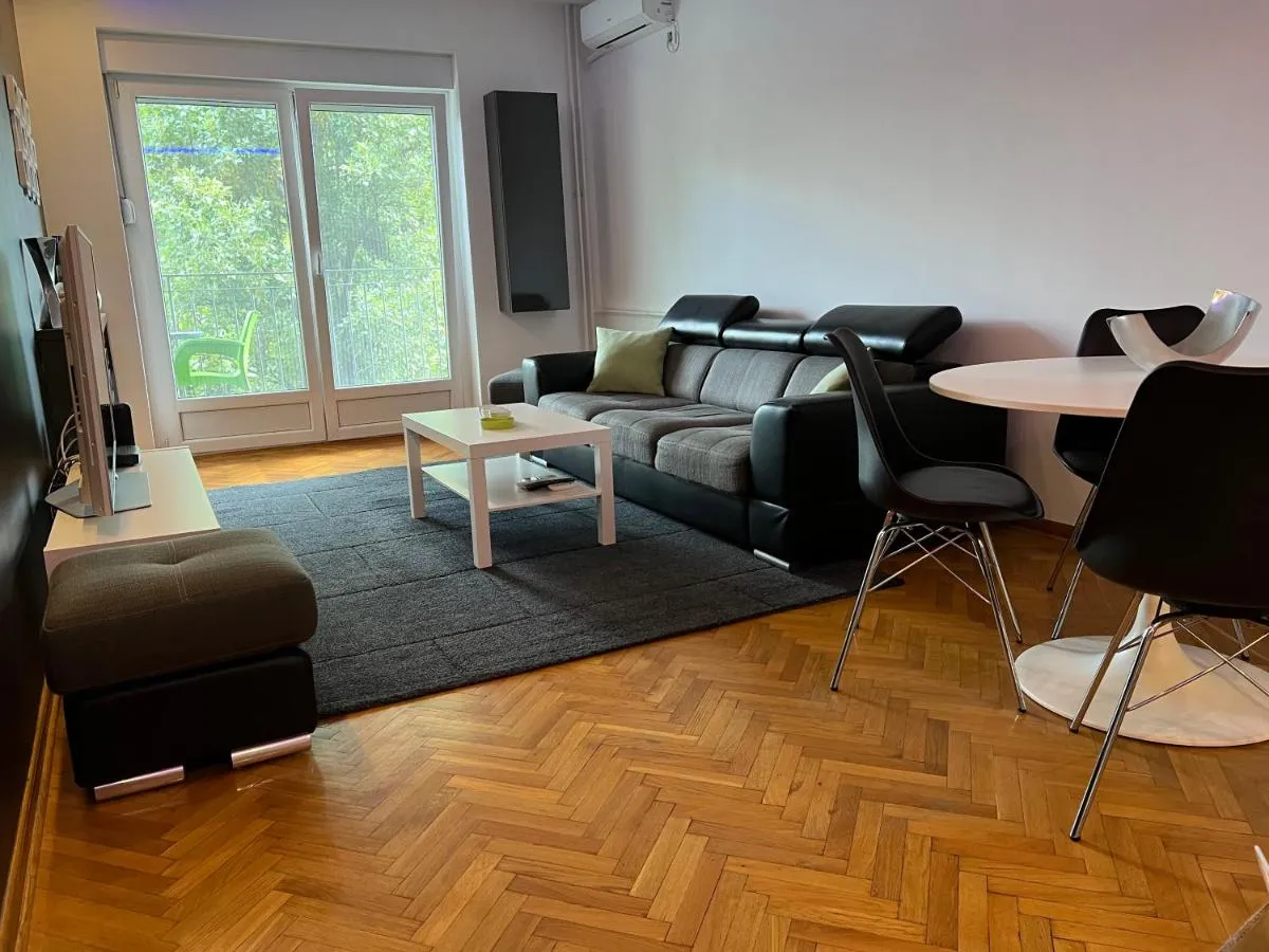 Apartment Vračar — 5