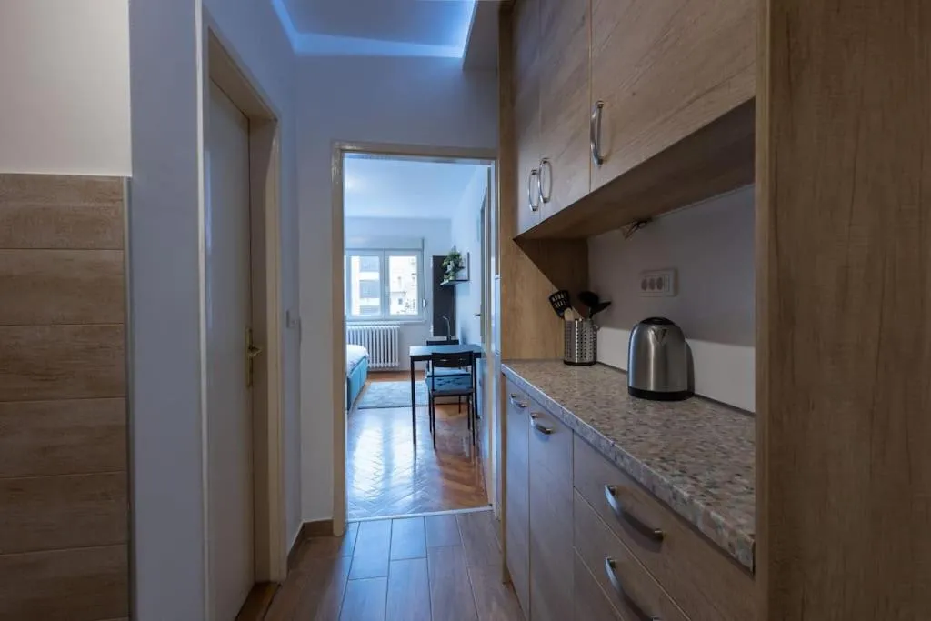 Belgrade Center Apartment — 4