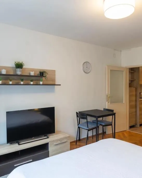 Belgrade Center Apartment — 5