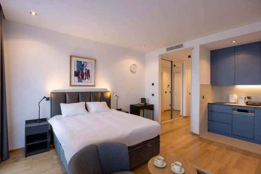 Belgrade Center Apartment Lux 1