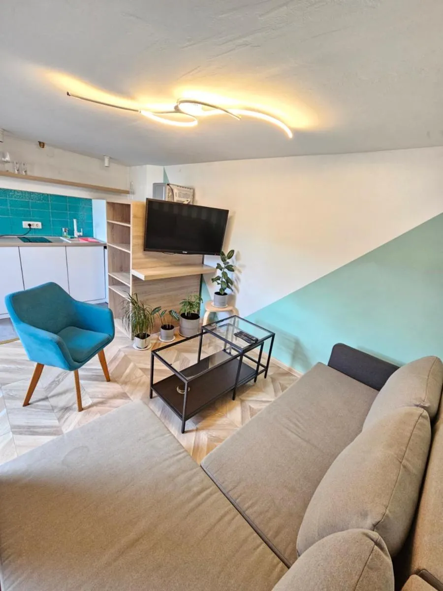 Booking Apartment Rajiceva — 5