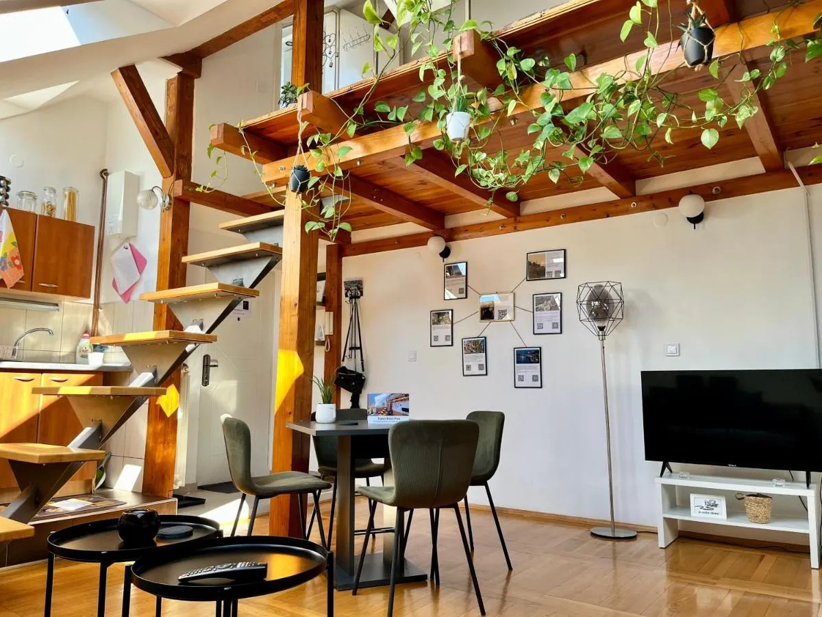 Captain Misha’s place — 2