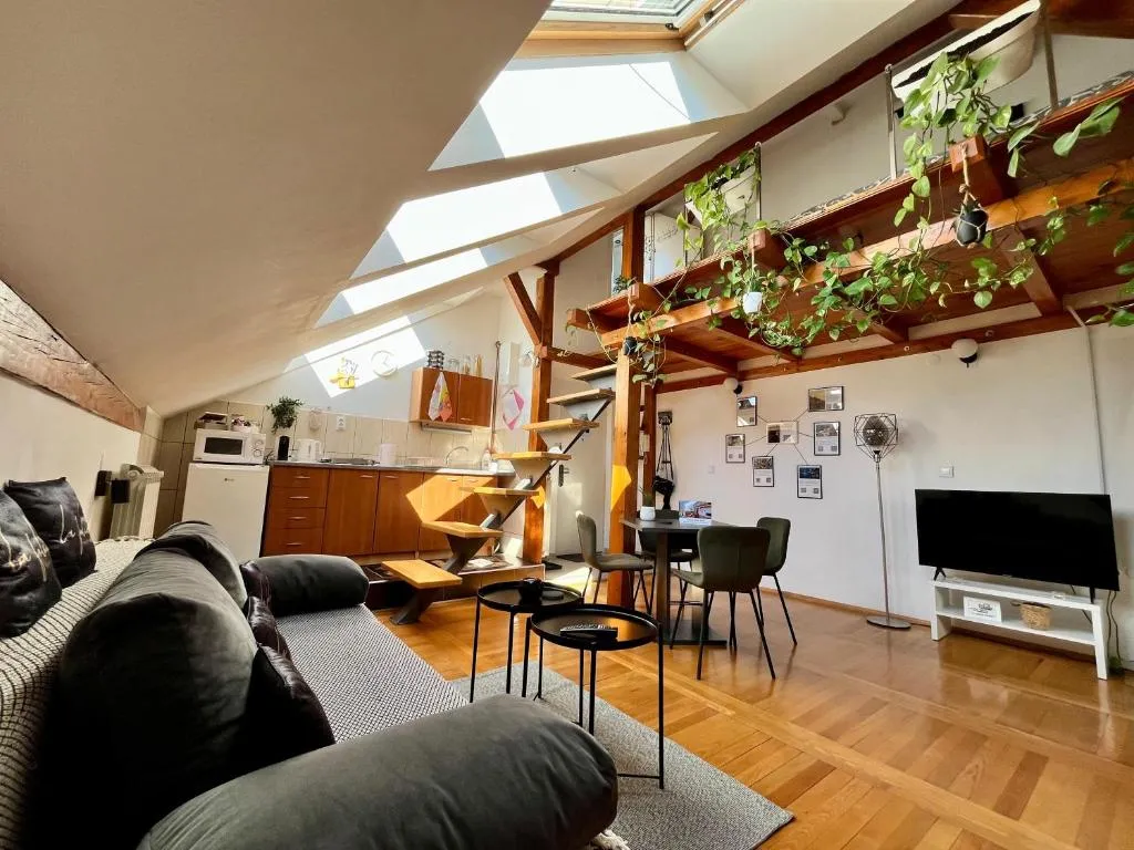 Captain Misha’s place