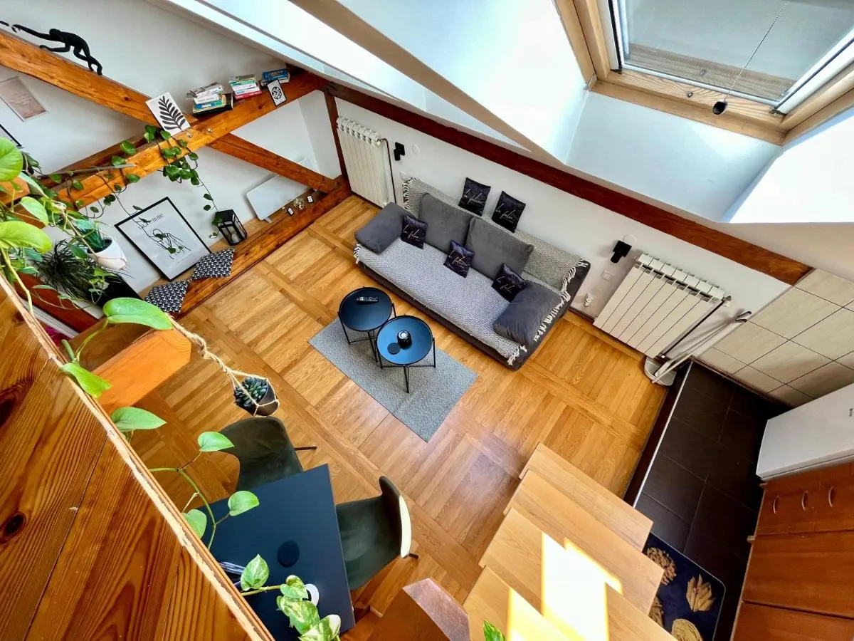 Captain Misha’s place — 3